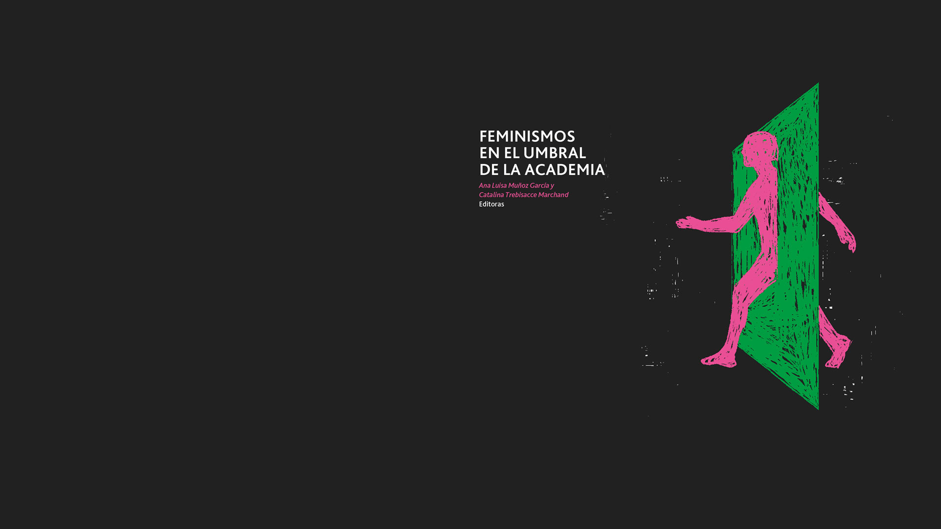 Nuevo libro analiza los feminismos en los espacios del saber legitimado